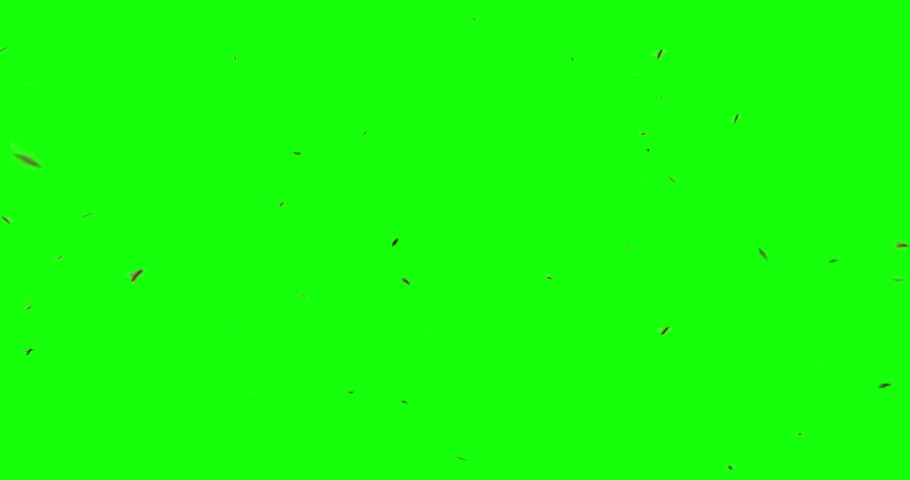 3D animation featuring a swarm of bees flying around over a green background, with sound effects. | Shutterstock HD Video #1095261433