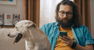 A bearded handsome man sits on the couch with his dog in the living room, which he strokes. The man is browsing insurance policy quotes on smartphone.