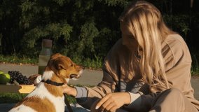 Young woman playing with Jack Russell Terrier at a picnic at dawn. Slow motion
