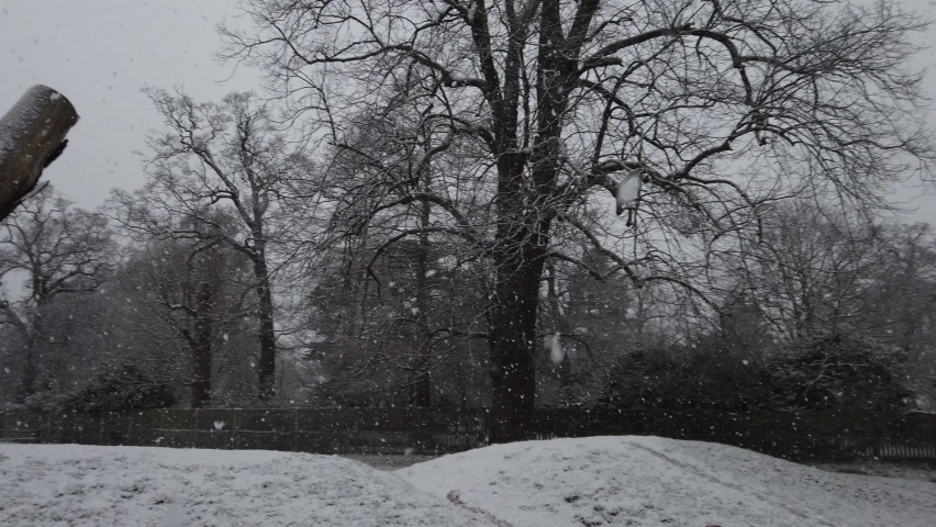 People walking in a heavy snowfall in a UK park setting.  Pan shot. Royalty-Free Stock Footage #1095281959