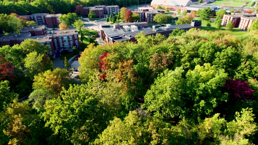 Trees turning red, orange, and yellow in the fall at the university of hartford college campus 