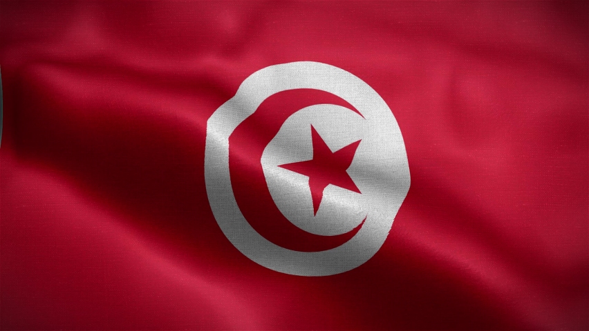 Flag of Tunisia. flag fluttering in the wind.3d animation of the Tunisia  flag fluttering in the wind. | Shutterstock HD Video #1095332637