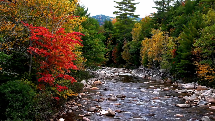 Beautiful foliage colors from White Mountains near Swift River