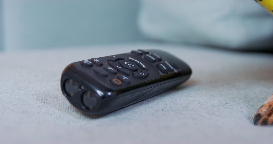 Dog paw lies on TV remote control nervously switches channels during advertising addiction to watching TV. Mental annoyance, boredom, zapping couch, potatoes. Setting TV to click buttons irritably Royalty-Free Stock Footage #1095348671