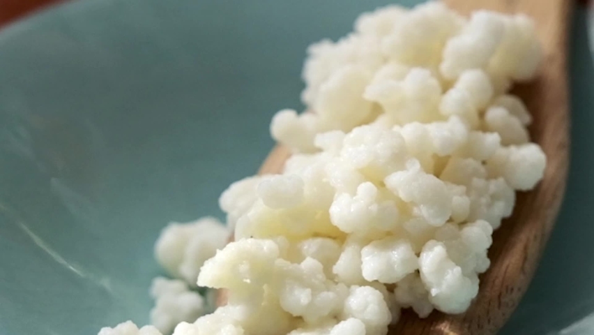 Dry kefir grains on a wooden spoon Royalty-Free Stock Footage #1095353203