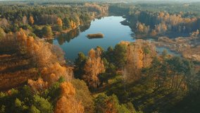 Drone footage of untouched wilderness with forest. Bird's eye view of calm lake. Location place Small Polissya, Ukraine, Europe. Cinematic shot. Filmed UHD 4k video. Discover the beauty of earth.