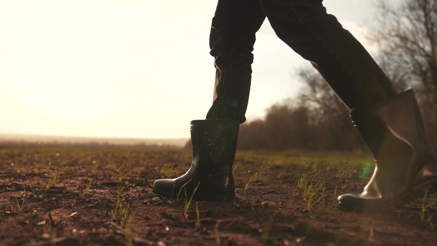 Agriculture. Farmer in field in rubber boots. Dirty land, fertile soil. Farmer walks along rural road near field. Legs in rubber boots. Rain on earthy soil. Concept of agriculture. Rain on rural road Royalty-Free Stock Footage #1095369065