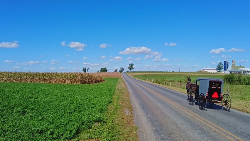 An Amish Horse and Buggy Trotting Away Down a Country Road on a Beautiful Sunny Day