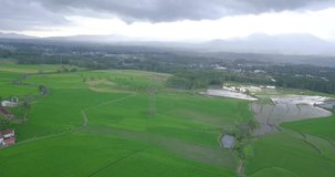 Aerial footage of green rice field with a high-voltage electric tower built in the middle