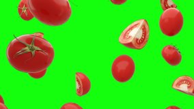 Tomatoes are falling into transparent space on green screen background. Seamless looped 4K Footage