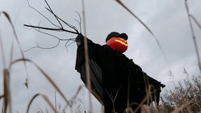 halloween pumpkin scarecrow on the field in the evening before the scary night. - Powered by Shutterstock - Get 15% off with code: PIKWIZARD15