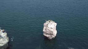 Aerial view of a rocky coastline and man's jumping from a white cliff into the blue water on the seashore with splashes fly up. Bulgaria and the Black Sea at sunny summer day.