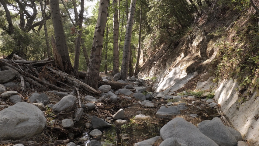 A dry river bed in a mountain forest in  California. By autumn, many small rivers in California dry up.