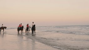 4K video of 6 young women and a man riding their horses by the sea