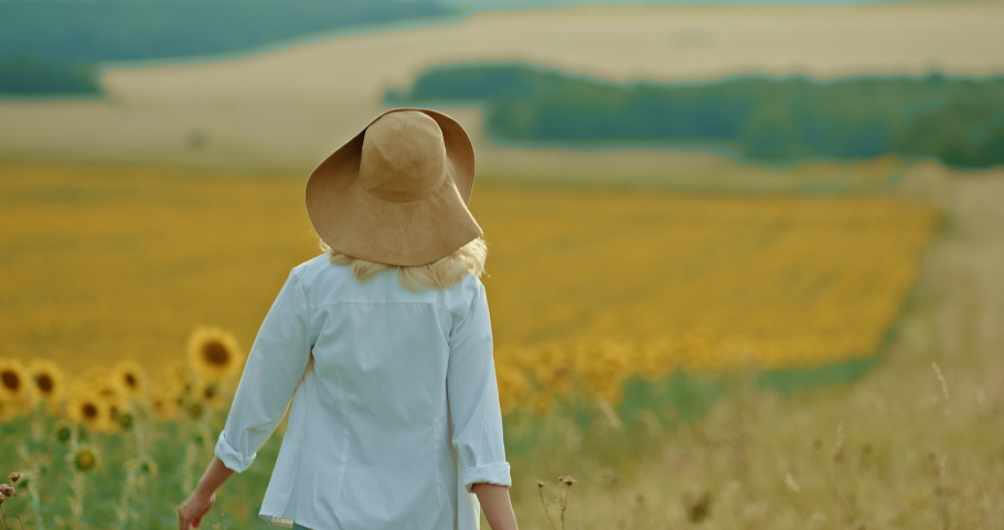 Romantic walk in the field. Lots of flowers in the fields, golden sunflowers. Woman walks across the field in a hat, a view from the back. 4k, ProRes