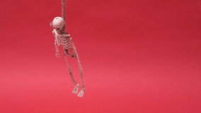 skeleton hanging on gallows over red background. Halloween video with copy space place for text. The skeleton hung on a rope. Human bones dangle from a rope