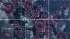 Animation of network of connections with covid 19 virus cells and globe. Global covid 19 pandemic, healthcare and data processing concept digitally generated video. - Powered by Shutterstock - Get 15% off with code: PIKWIZARD15
