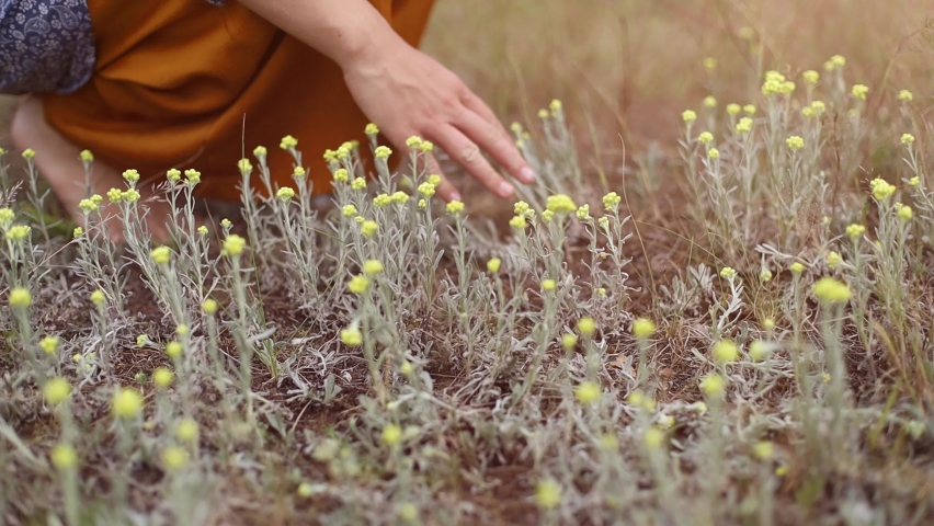 A barefoot girl in an orange skirt enjoys the softness of yellow flower petals