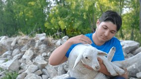 Young man kissing lamb videos, lamb-loving young man, love of animals, respect for nature, show love to animals