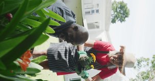 Vertical video of happy diverse senior couple plating flowers together in garden. Happiness, health, retirement, togetherness, domestic life and inclusivity concept.