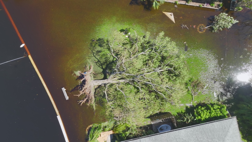 Hurricane Ian flooded house and fallen tree in Florida residential area. Natural disaster and its consequences