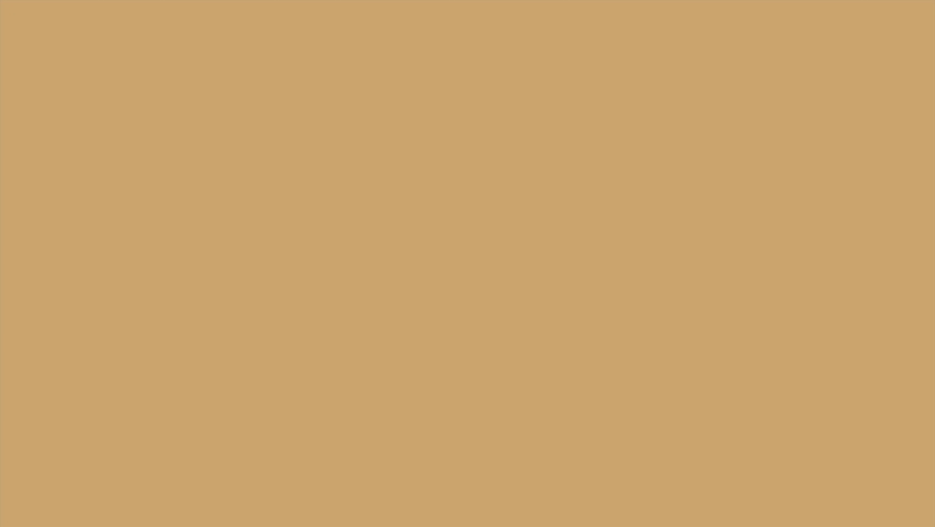 turkey with pilgrim hat animation ,4k video animated