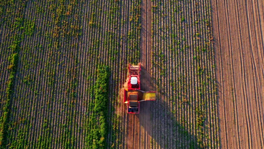 Potatoes harvesting, drone view. Potato Harvester at Seasonal harvesting of potatoes from field. Agricultural Potato Combine Harvester at field. Potatoes Combine Harvester in green field, aerial view., an Industrial Video by Maksim Safaniuk