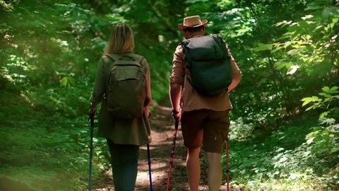 Tourist Hiker Activity In Forest With Walking Stick. Adventure Hiking Waling Stick Nordic Walk. Hiking Hiker On Mountain Forest. Nordic Hiking In Wood. Trekker Summer Forest Workout Trekking In Jungle 스톡 비디오