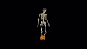 Funny Skeleton - Juggling Soccer Player - Halloween Pumpkin Ball - 3D Animation Loop with Alpha Channel