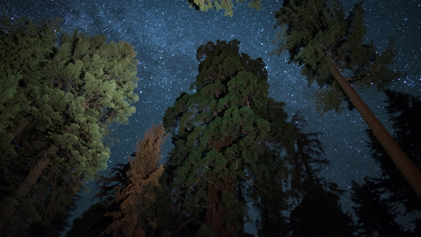 Sequoia  Kings Canyon National Park Startrails Over General Grant Tree Astrophotography Time Lapse California USA