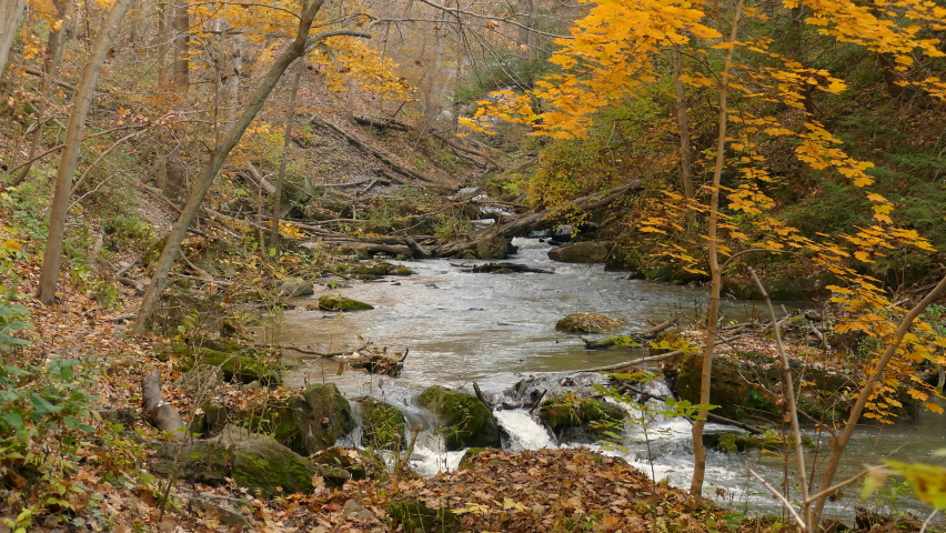 Autumn fall season thriving at Madawaska river Algonquin Ontario park