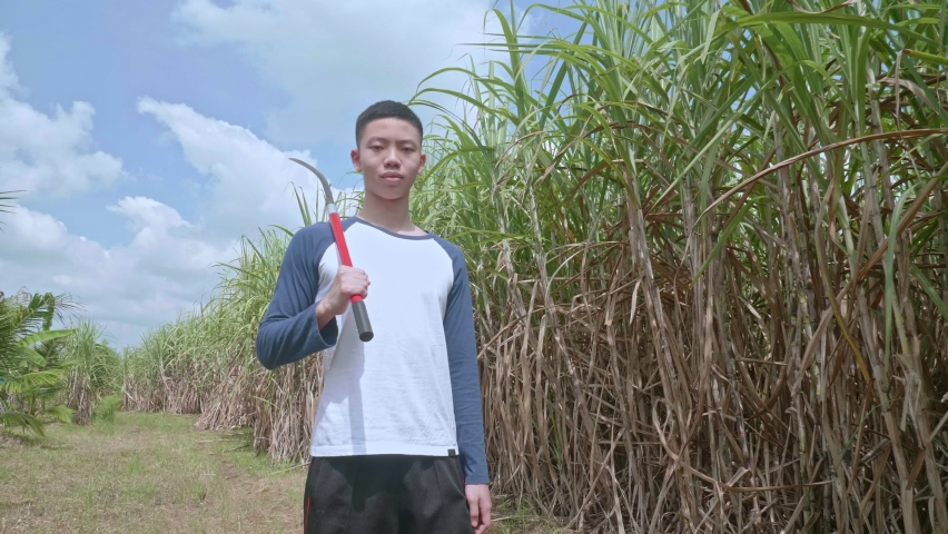 Farmer Asian teenage boy Standing outdoors in a garden or cane plantation, holding a sickle in one hand for harvesting or cutting grass, staring at the camera. and smile a little