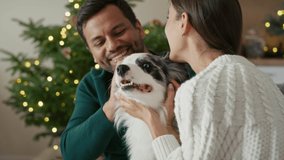 Multi ethnicity couple bonding with dog at Christmas time. Shot with RED helium camera in 8K