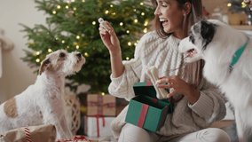 Cheerful caucasian female dog owner opening Christmas present for her pupil. Shot with RED helium camera in 8K.    
