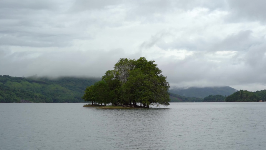 A small island with trees in the middle of the lake