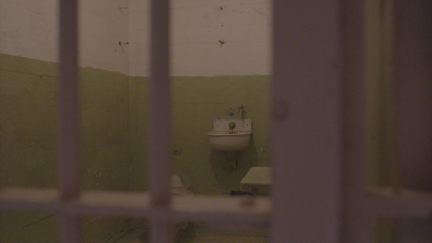 Through the bars. Through the bars