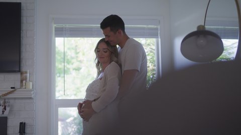 Husband Wife Embrace Holding Pregnant Belly Stock Footage Video (100%