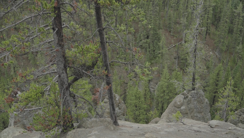 Virginia Cascade Falls Waterfall Roadside Yellowstone National Park Wyoming
