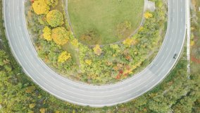Aerial 4K overhead video of a park and surrounding road