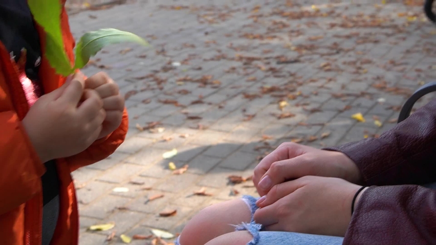 Closeup of little girl giving a leaf to her mother. Autumn sunny day.