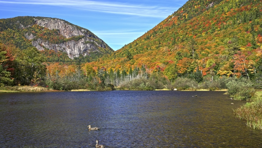 Scenic view in New Hampshire near pond