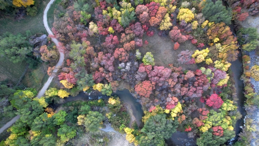 Drone footage through Blacksmith Fork Canyon in northern Utah on a fall evening in October. Showcase of fall colors.