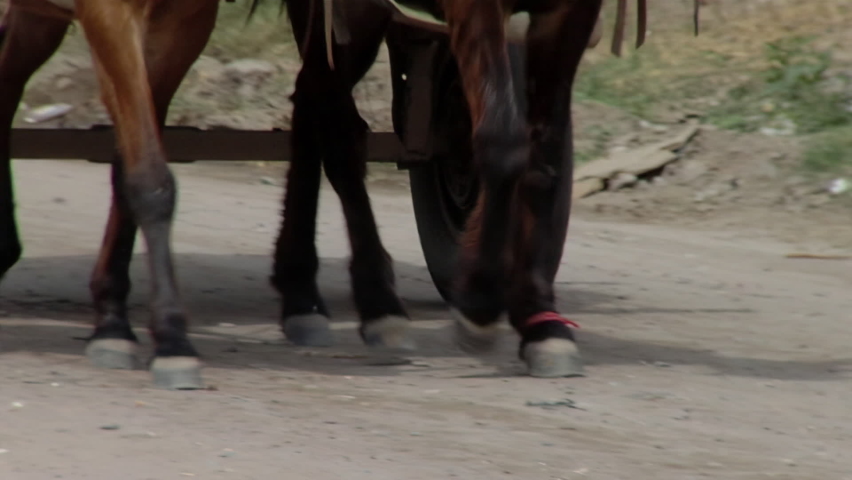Cart Pulled by a Horse in Santiago del Estero, Argentina.