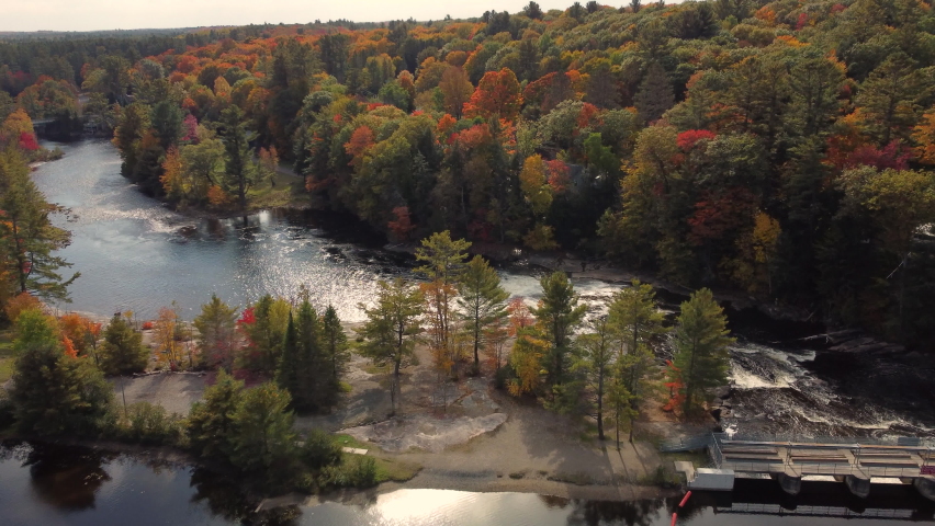 A meandering river flows between the trees. 