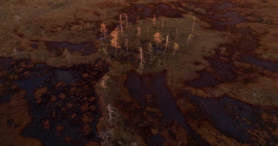 Movement over a beautiful autumnal bog during a beautiful sunset near Hossa National Park, Northern Finland