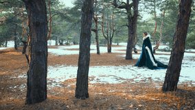 woman queen walks in winter forest. old style clothing long green cape, coat, royal dress, girl princess in hood. Autumn nature art fantasy vintage video. White snow sun light. lady steps slow motion.