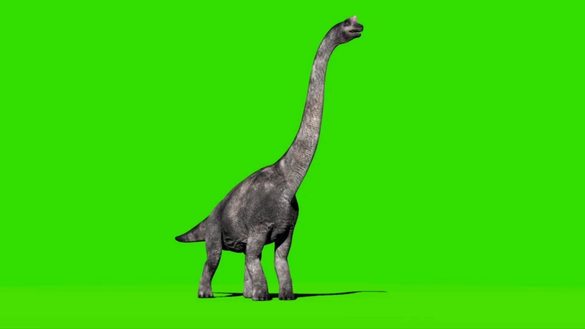 Brachiosaurus Roaring on Green Screen Royalty-Free Stock Footage #1095811725