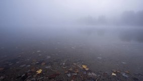 Close-up time-lapse of a pond with autumn leaves floating about. High-quality 4k footage shot on a foggy morning in New England. - Powered by Shutterstock - Get 15% off with code: PIKWIZARD15