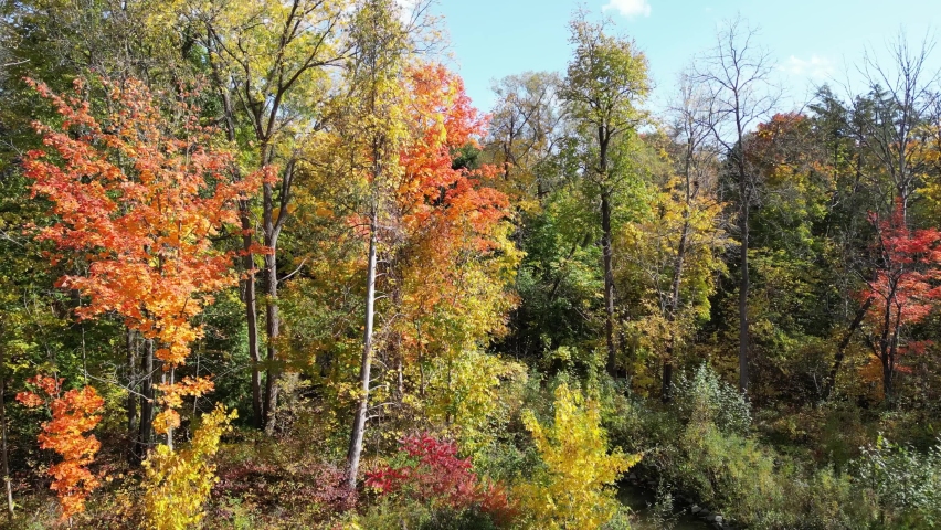 Autumn Colouring in Ontario, Canada | Shutterstock HD Video #1095830403