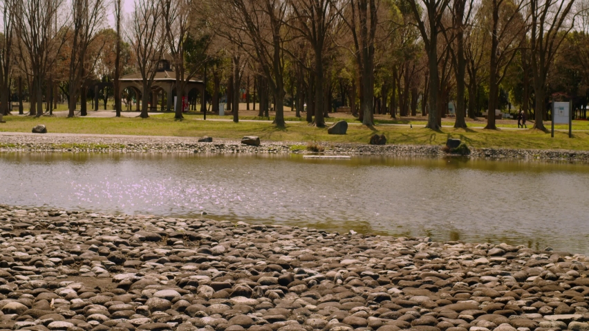 Scenery of a park in Tokyo, Japan